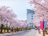 경기대학교 수원캠퍼스