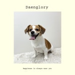 댕로리 애견미용실