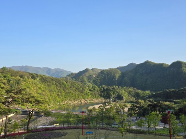 카페올라
