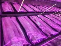 임금님풍천장어 이천본점