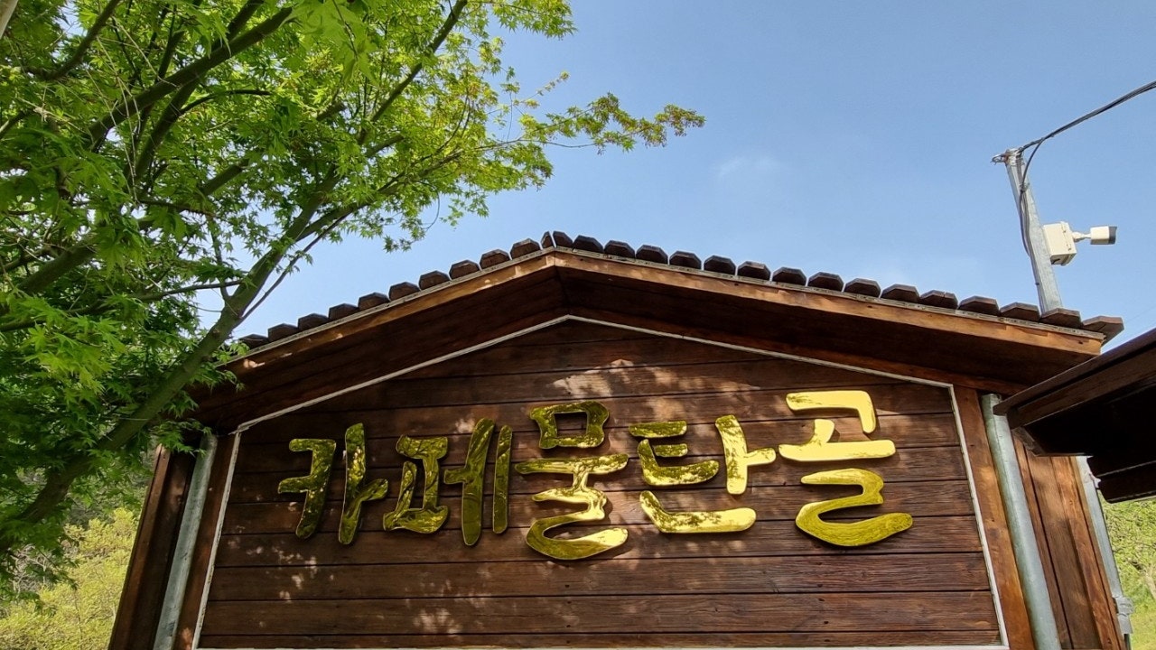 카페물탄골