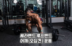마두운동장