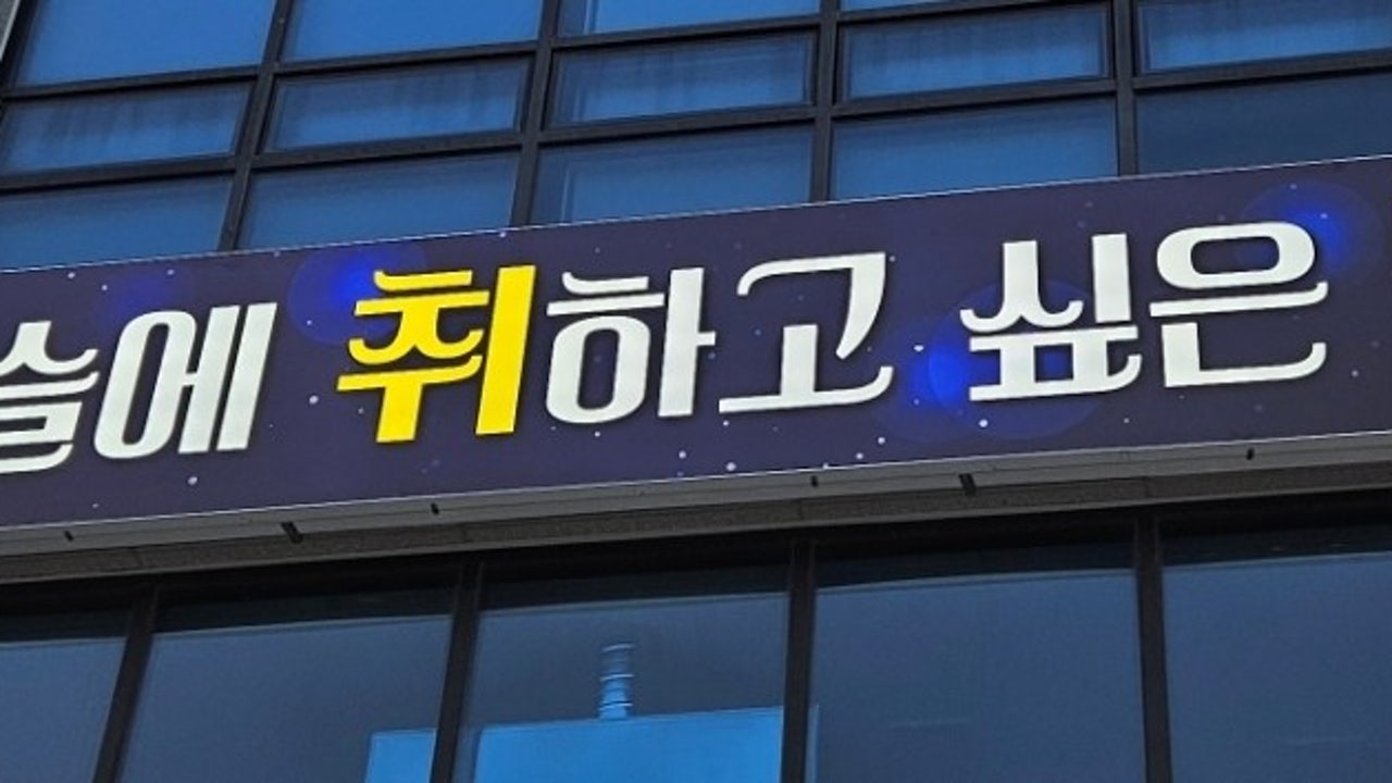 이슬에취하고싶은밤