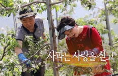 애플트리힐링팜