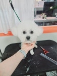 몽쉘몽봉