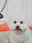 몽쉘몽봉