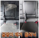 동성카실내클리닉