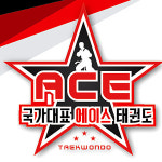 국가대표 에이스 태권도