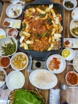 황금오리