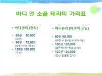 바디 앤 소울 테라피