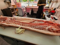 희망 푸줏간