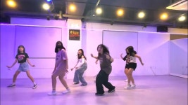 TJ 티제이 멀티핏 키즈 케이팝 방송 줌바 댄스스튜디오