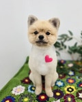비앤비그루밍