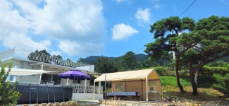팔공포레스트