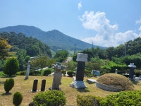 고흥벌초