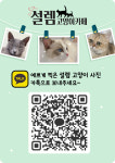 설렘고양이카페