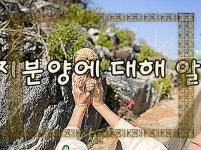 유앤미펫 강아지분양 고양이분양 일산점