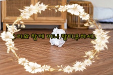 유앤미펫 강아지분양 고양이분양 일산점