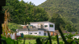 남해 36.5