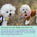 리츠펫 서산 호수공원점