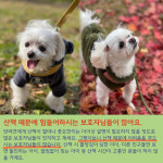 리츠펫 서산 호수공원점