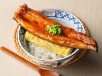백야