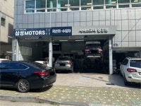 삼성모터스