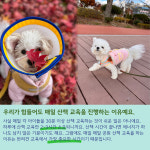 리츠펫 서산 호수공원점