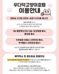 우다닥 고양이호텔 미용