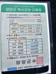 양양송이콜택시