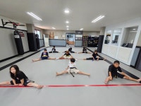 기무관합기도MMA