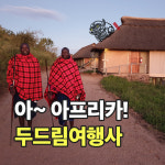 두드림여행사