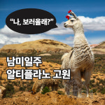 두드림여행사