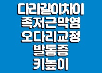 몸바로솔루션