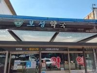 보성약국