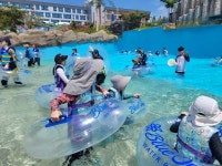 용인대TOP태권도