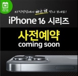 KT 미카엘 은행나무점