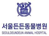 서울든든동물병원 인천