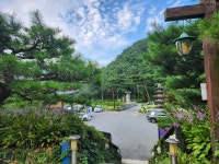 세인트인우둠지 펜션