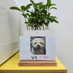 뉴플러스부동산공인중개사사무소