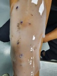 (주)에스엠팩팩토리 | 에스엠팩
