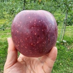 초곡유아자연체험장에덴농원 | 현곡농원