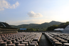 진심담은 된장찌개 진된장 가산본점