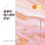 셀앤비에스테틱 강남점
