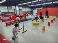 경희대대양태권도