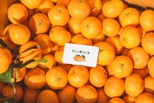 월산애농산물