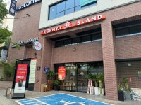 트로피티 아일랜드 구로고척점