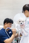 24시 휴 동물의료센터