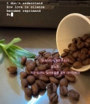 로스팅2020