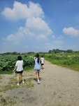 페스탈로치의꿈논술학원 | 세종의꿈국어역사논술학원